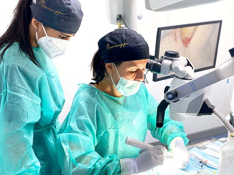 Máster en Endodoncia y Estética