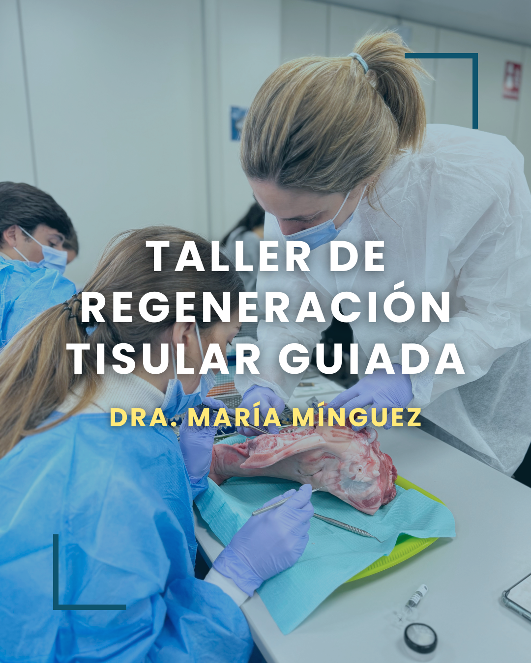 Dra. María Mínguez - Taller de Regeneración Tisular Guiada