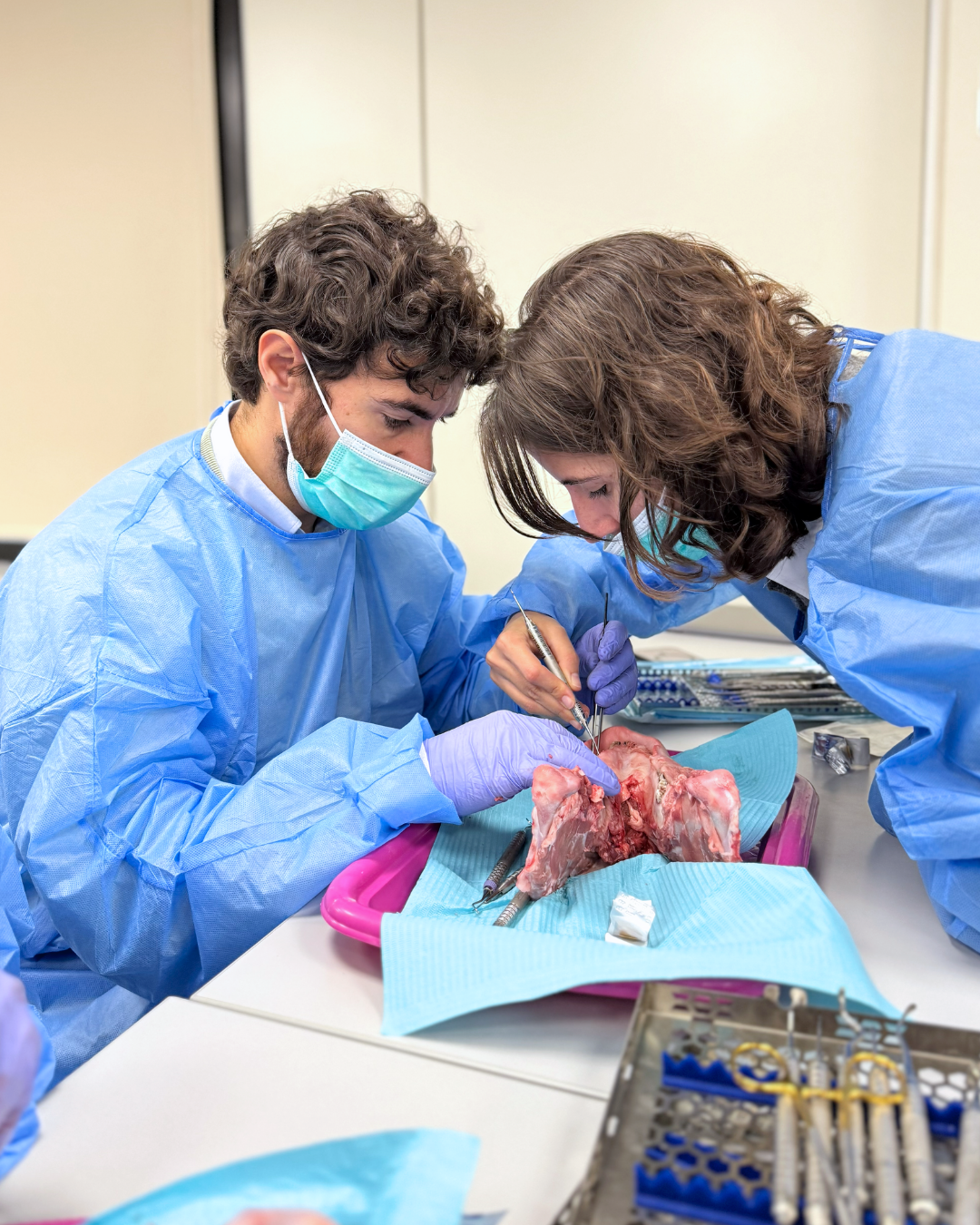 Dra. Adriana Castro y Dr. Jose Luis Mompell - Regeneraciones óseas verticales
