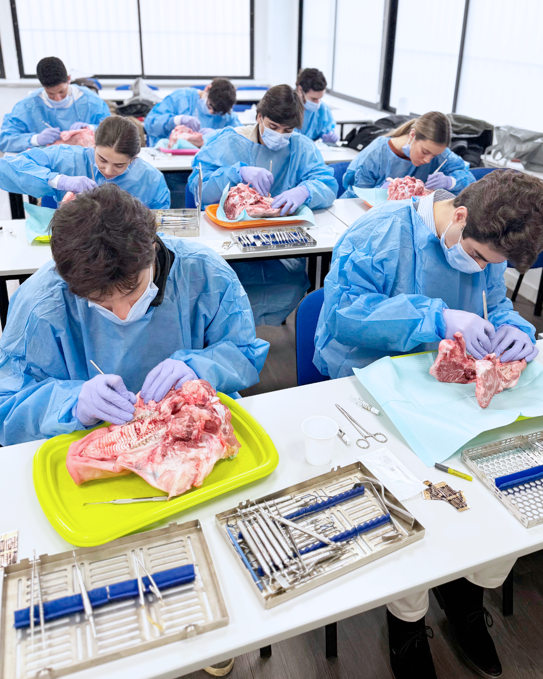 Dra. María Mínguez - Taller de Regeneración Tisular Guiada