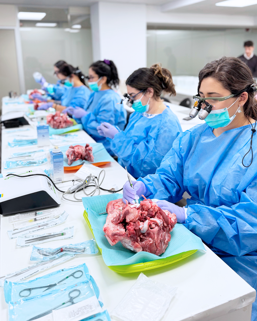 Dra. Marcela Salamanca - Taller de Microcirugía Periapical