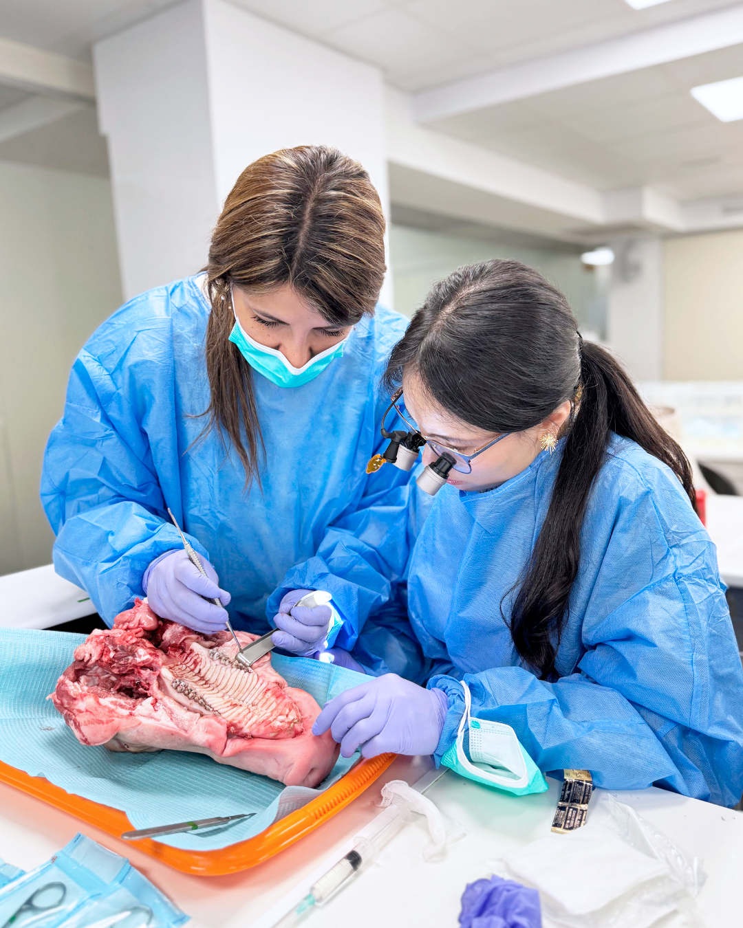 Dra. Marcela Salamanca - Taller de Microcirugía Periapical