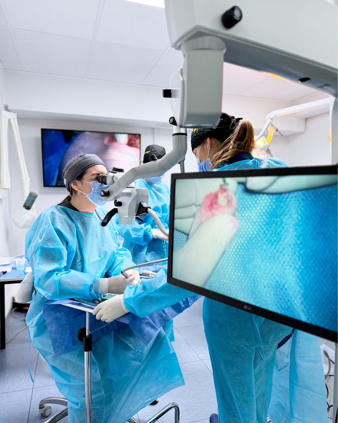 Dra. Marcela Salamanca - Autotrasplante Dental