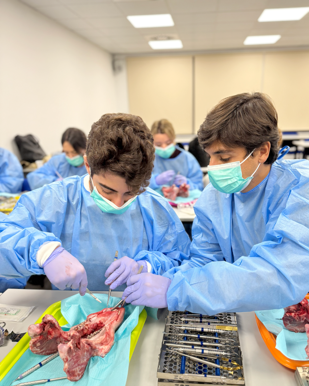 Dra. Adriana Castro y Dr. Jose Luis Mompell - Regeneraciones óseas verticales