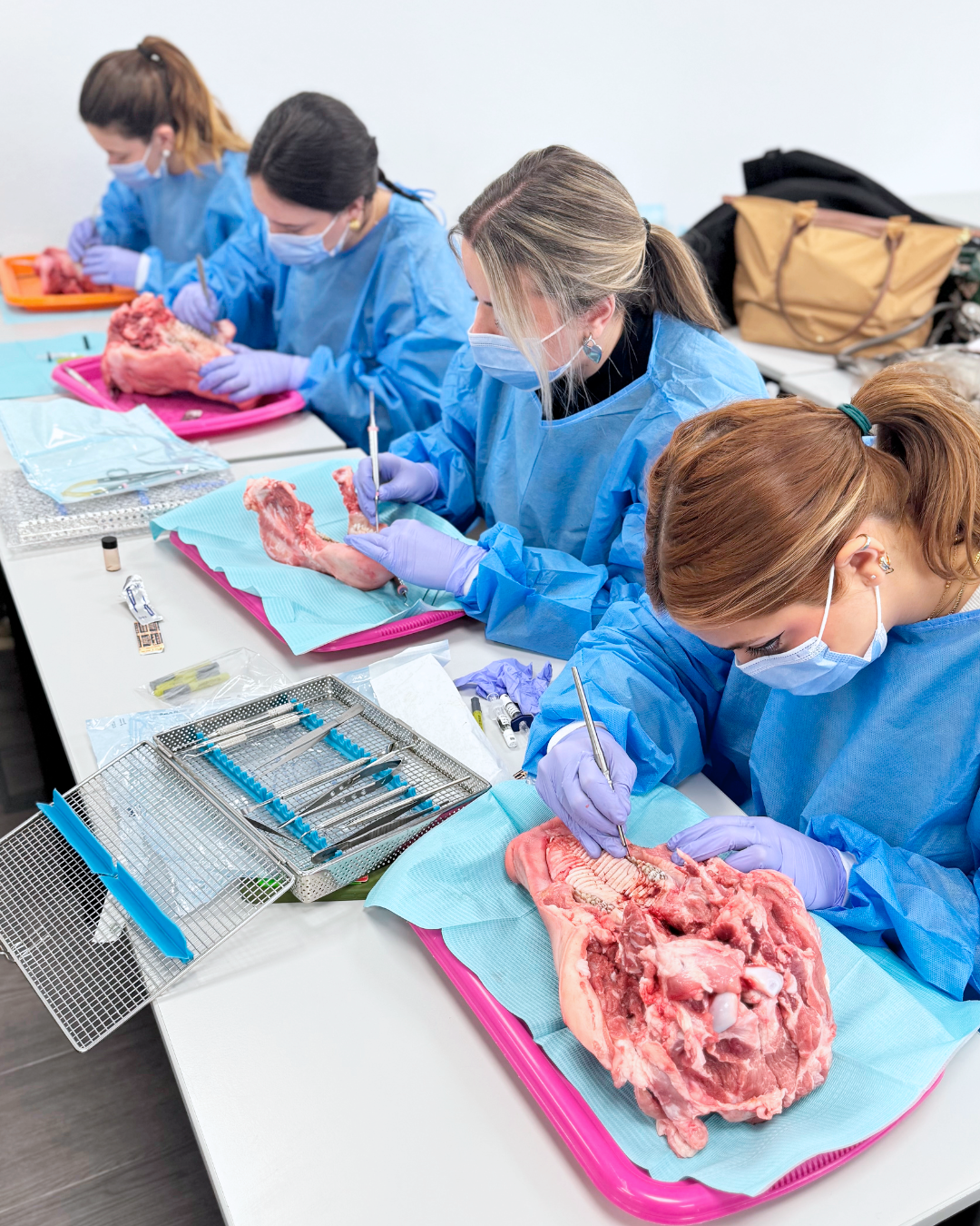 Dra. María Mínguez - Taller de Regeneración Tisular Guiada