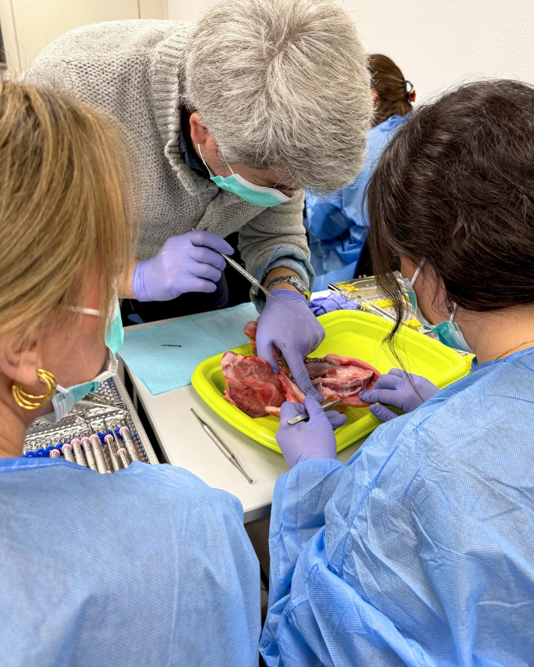 Dra. Adriana Castro y Dr. Jose Luis Mompell - Regeneraciones óseas verticales